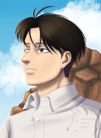 Levi Redraw Levi Redraw